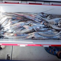 遊漁船 遊友 釣果