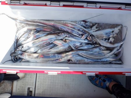 遊漁船 遊友 釣果