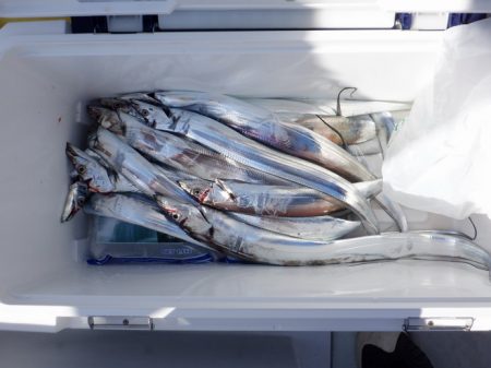 遊漁船 遊友 釣果