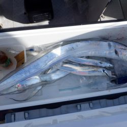 遊漁船 遊友 釣果