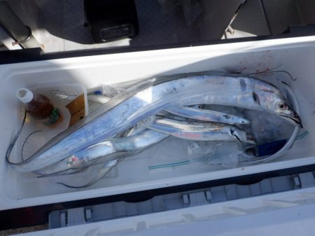 遊漁船 遊友 釣果