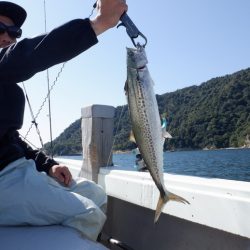 遊漁船 遊友 釣果