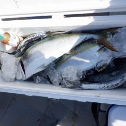 遊漁船 遊友 釣果