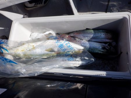 遊漁船 遊友 釣果