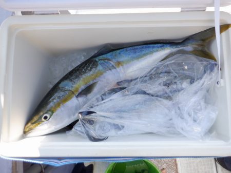 遊漁船 遊友 釣果