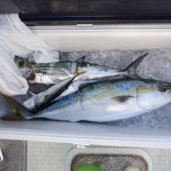 遊漁船 遊友 釣果