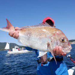 遊漁船 遊友 釣果