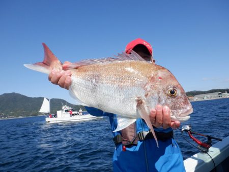 遊漁船 遊友 釣果