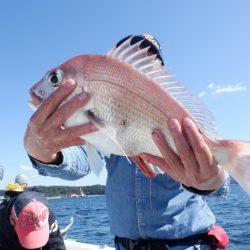 遊漁船 遊友 釣果