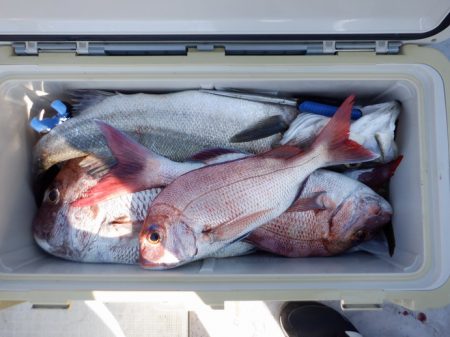 遊漁船 遊友 釣果