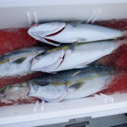 遊漁船 遊友 釣果