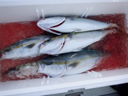 遊漁船 遊友 釣果