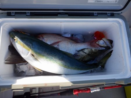 遊漁船 遊友 釣果