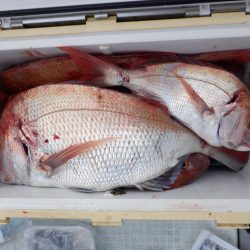 遊漁船 遊友 釣果