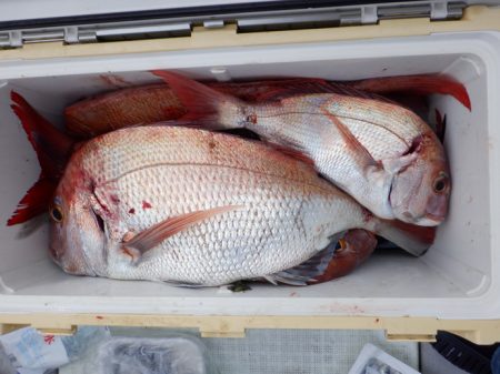 遊漁船 遊友 釣果