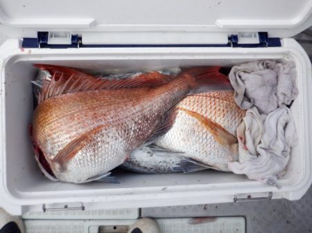 遊漁船 遊友 釣果