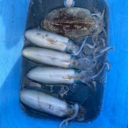 和丸(三重) 釣果