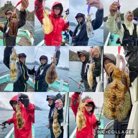 シードリーム 釣果