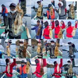 シードリーム 釣果