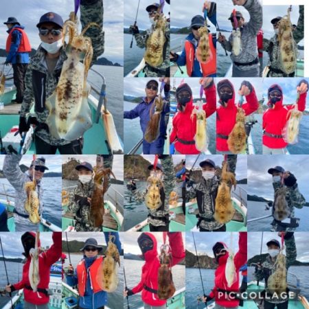 シードリーム 釣果