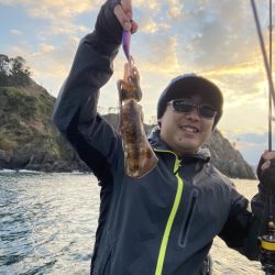 シードリーム 釣果