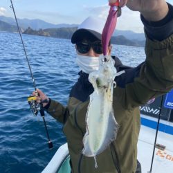 シードリーム 釣果