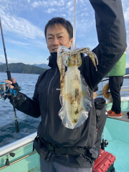 シードリーム 釣果