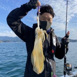 シードリーム 釣果