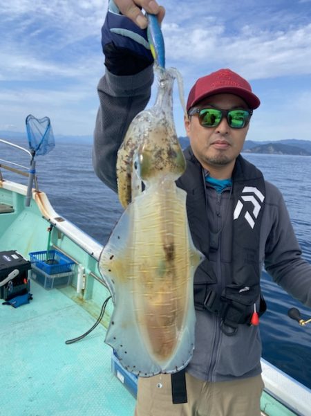 シードリーム 釣果