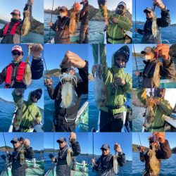 シードリーム 釣果