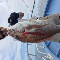 松鶴丸 釣果
