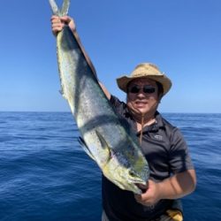 シーモンキー 釣果