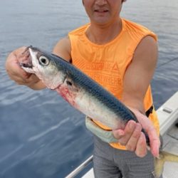シーモンキー 釣果