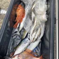 シーモンキー 釣果