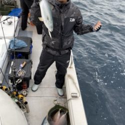 シーモンキー 釣果