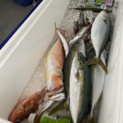 シーモンキー 釣果