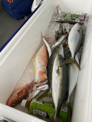 シーモンキー 釣果