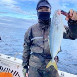 シーモンキー 釣果