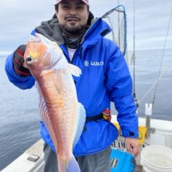 シーモンキー 釣果