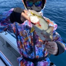 シーモンキー 釣果