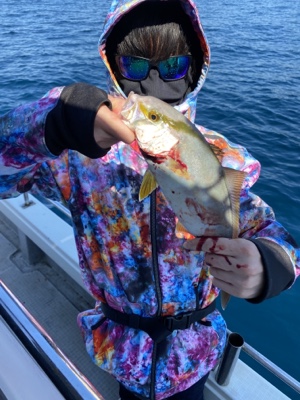 シーモンキー 釣果