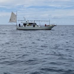 シーモンキー 釣果