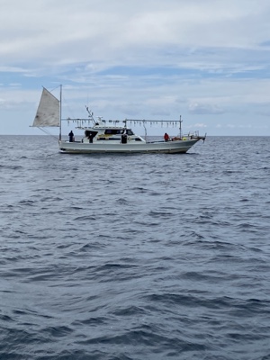 シーモンキー 釣果