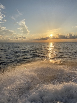 シーモンキー 釣果