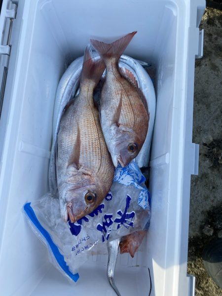 リトルワン 釣果