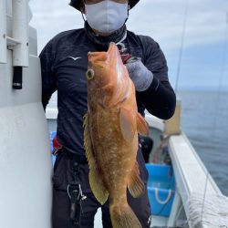 リトルワン 釣果