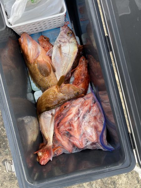 リトルワン 釣果