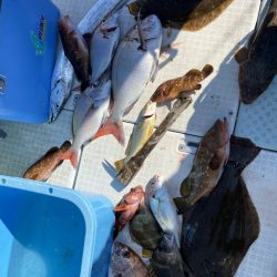 リトルワン 釣果