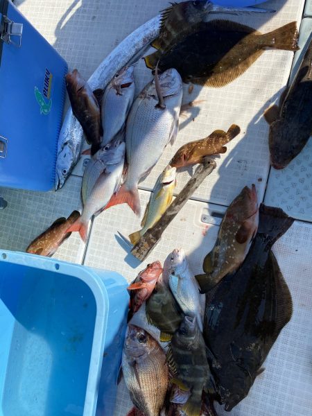 リトルワン 釣果