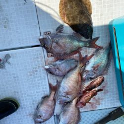 リトルワン 釣果